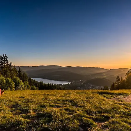 Apartment 5 - Residenz Schauinsland, Sauna, E-ladestation, Bei Feldberg Todtnauberg