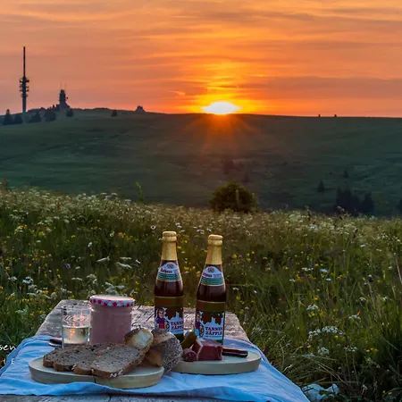 5 - Residenz Schauinsland, Sauna, E-ladestation, Bei Feldberg * Todtnauberg