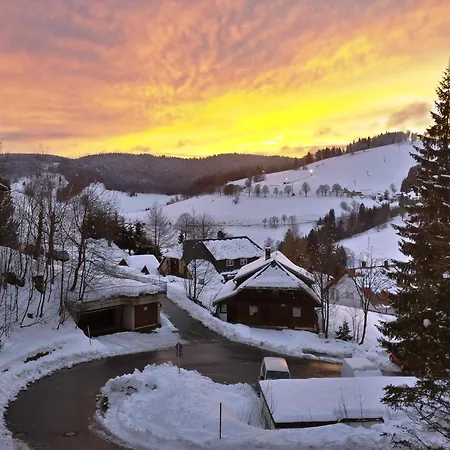 Apartment 5 - Residenz Schauinsland, Sauna, E-ladestation, Bei Feldberg *