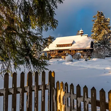 5 - Residenz Schauinsland, Sauna, E-ladestation, Bei Feldberg Apartment *