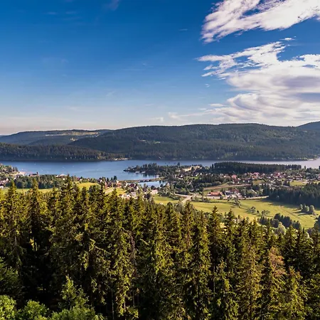 Apartment 5 - Residenz Schauinsland, Sauna, E-ladestation, Bei Feldberg Todtnauberg