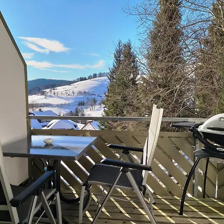5 - Residenz Schauinsland, Sauna, E-ladestation, Bei Feldberg Apartment Todtnauberg